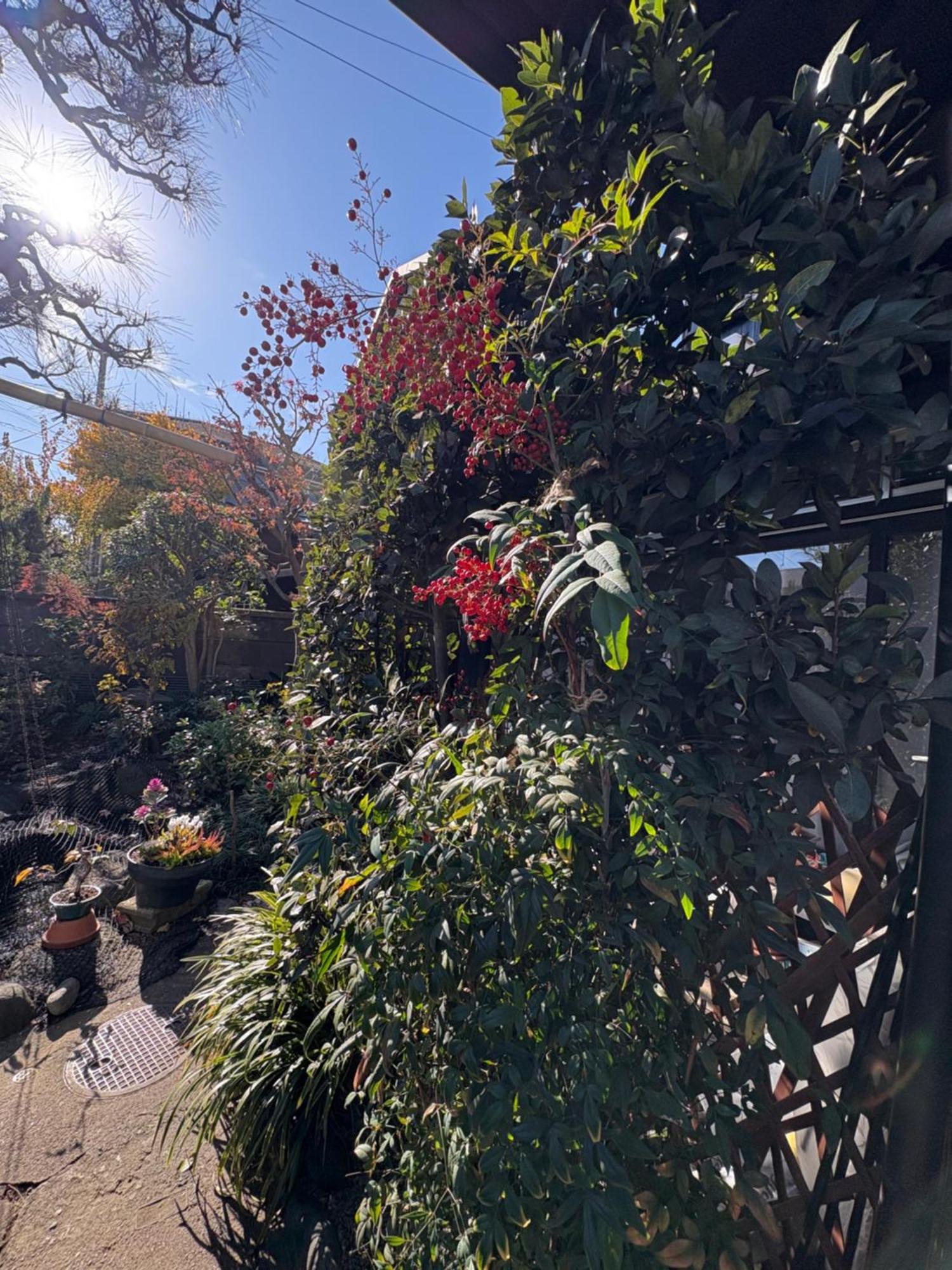Готель Kitazawa Cozy House Токіо Екстер'єр фото