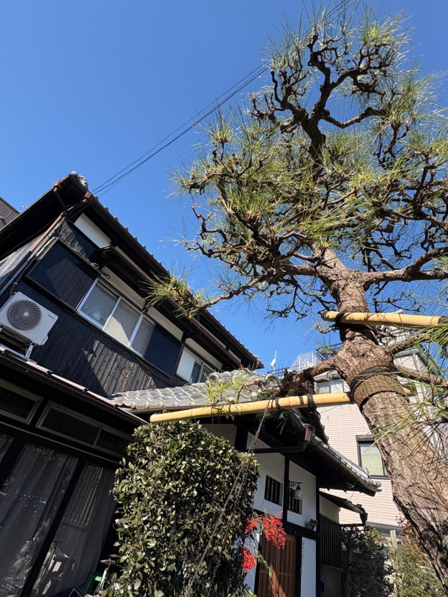 Готель Kitazawa Cozy House Токіо Екстер'єр фото